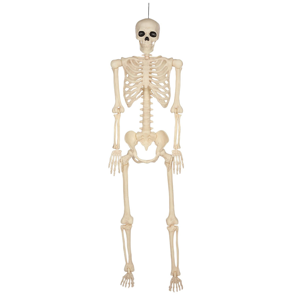 5 Ft Life-Size Full Body Skeletons Y782643