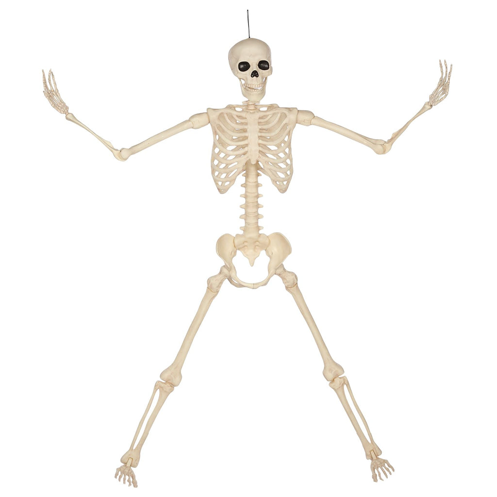 5 Ft Life-Size Full Body Skeletons Y782643