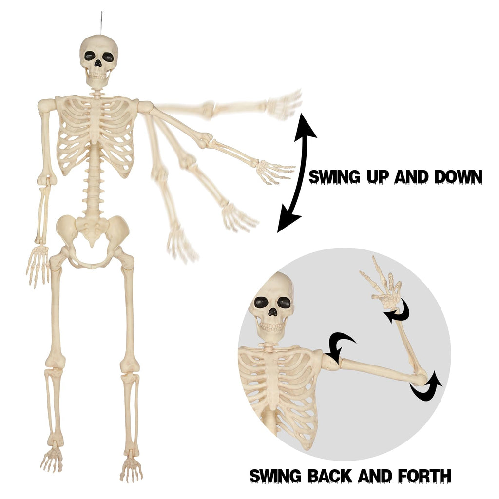 5 Ft Life-Size Full Body Skeletons Y782643