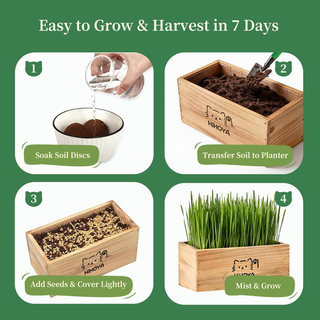 Cat Grass Kit with 5 Packets of Seeds, Wooden Planter, 6 Soil Discs, Trimming Scissors, Spray Bottle, and Mini Tools S51887