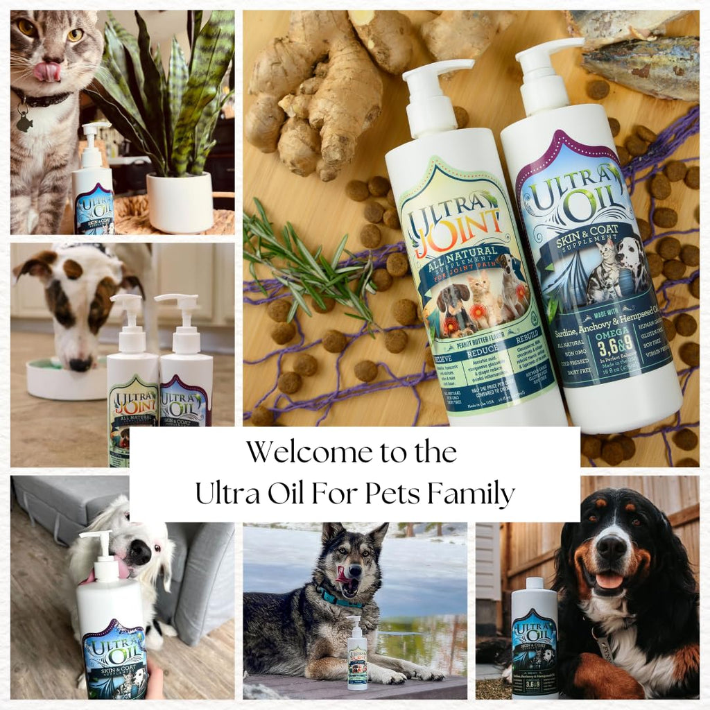 Liquid Joint Support Supplement for Dogs 32 oz Z38179