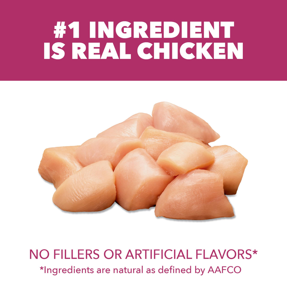 Chicken Dry Cat Food 7 lb T384998