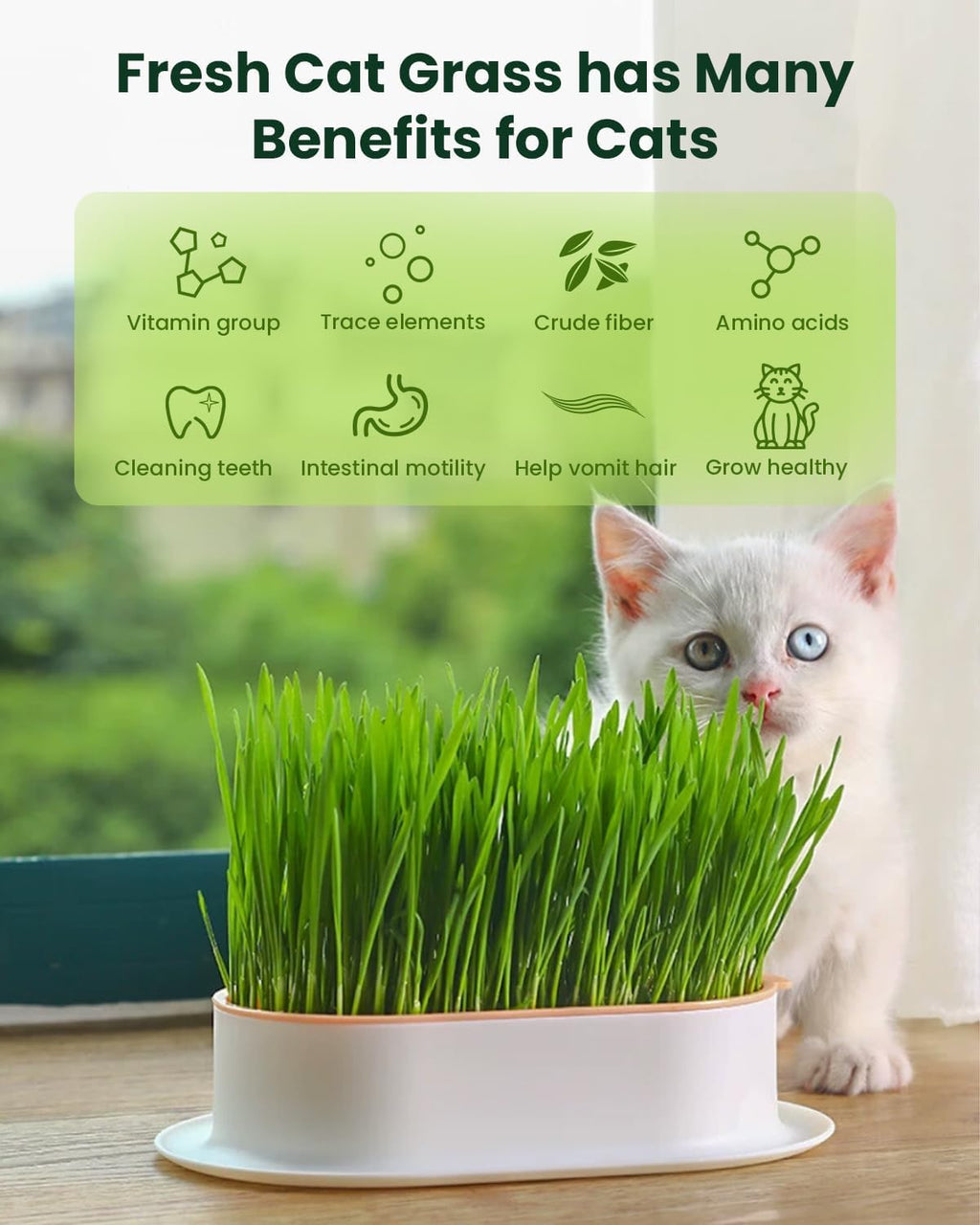 Cat Grass Growing Kit with Wheat Seeds, BPA-Free Planter & Soil, 3 Pack C275
