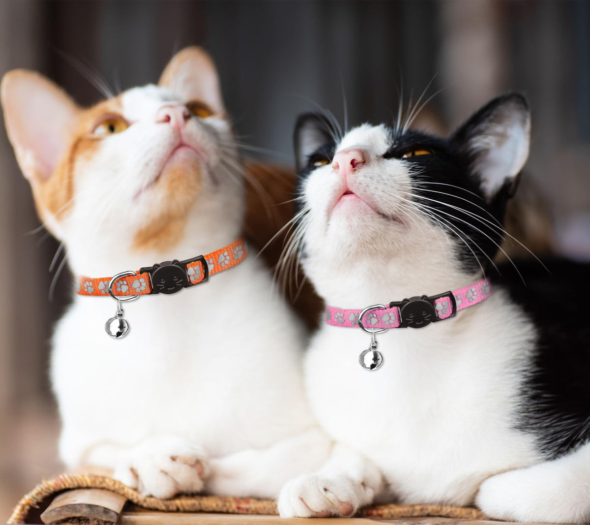 16 PCS Breakaway Reflective Nylon Cat Collars with Bells L41325