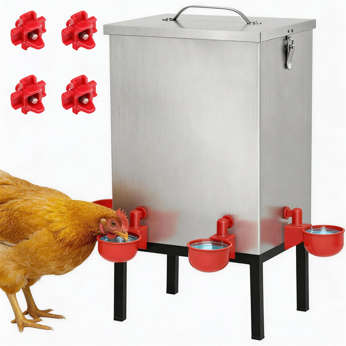 3 Gallon Stainless Steel Chicken Waterer with Cups & Nipples R3068