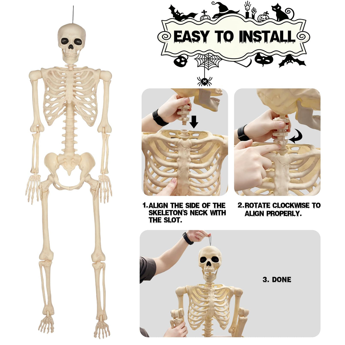 5 Ft Life-Size Full Body Skeletons Y782643