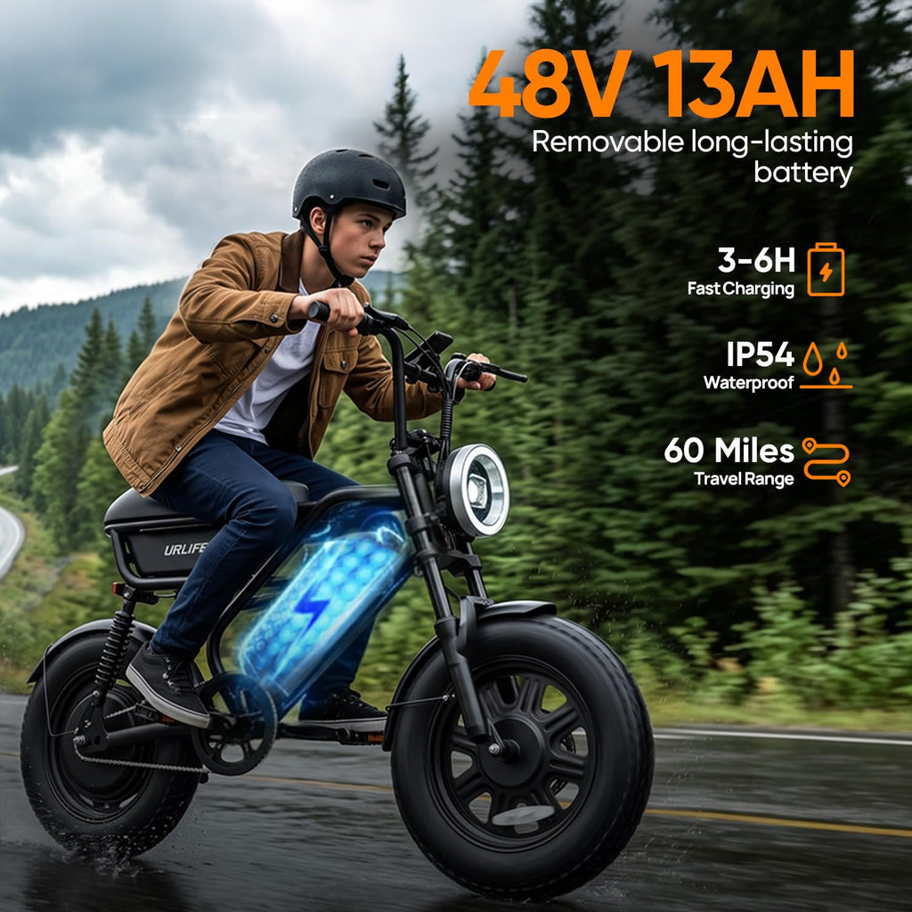 1000W Peak Electric Bike with 48V 13AH Battery, 16" Fat Tire I713438