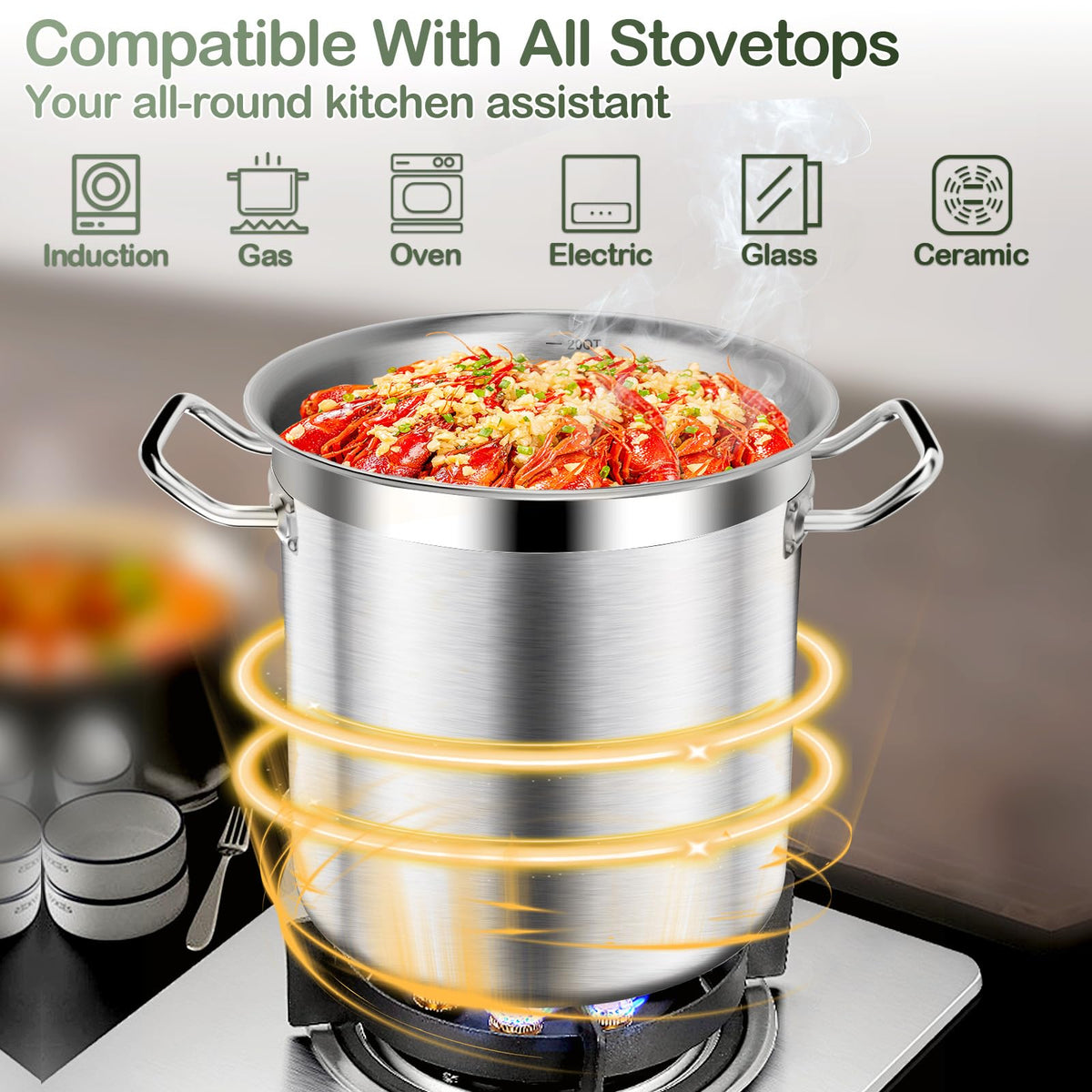 40QT Stainless Steel Stockpot with Lid T1473