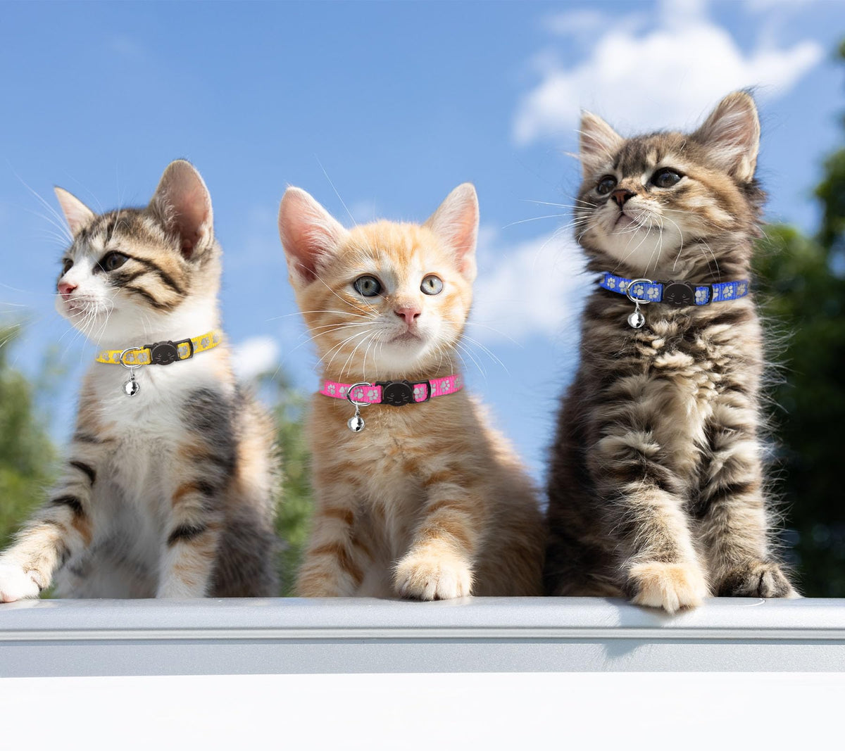 16 PCS Breakaway Reflective Nylon Cat Collars with Bells L41325