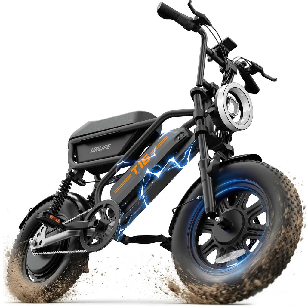 1000W Peak Electric Bike with 48V 13AH Battery, 16" Fat Tire I713438