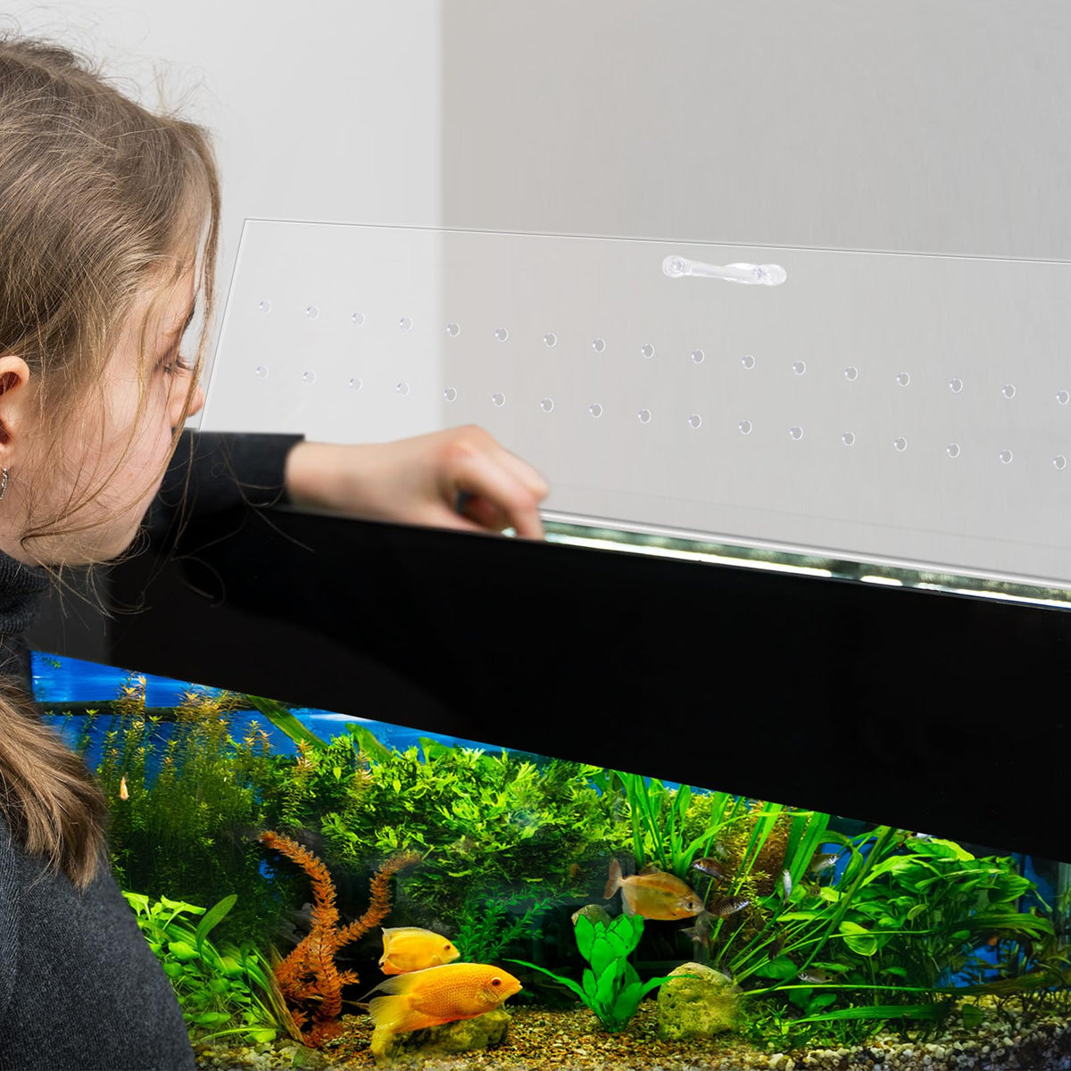 Clear Polycarbonate Aquarium Canopy Set 2 Pcs with Handle M448737