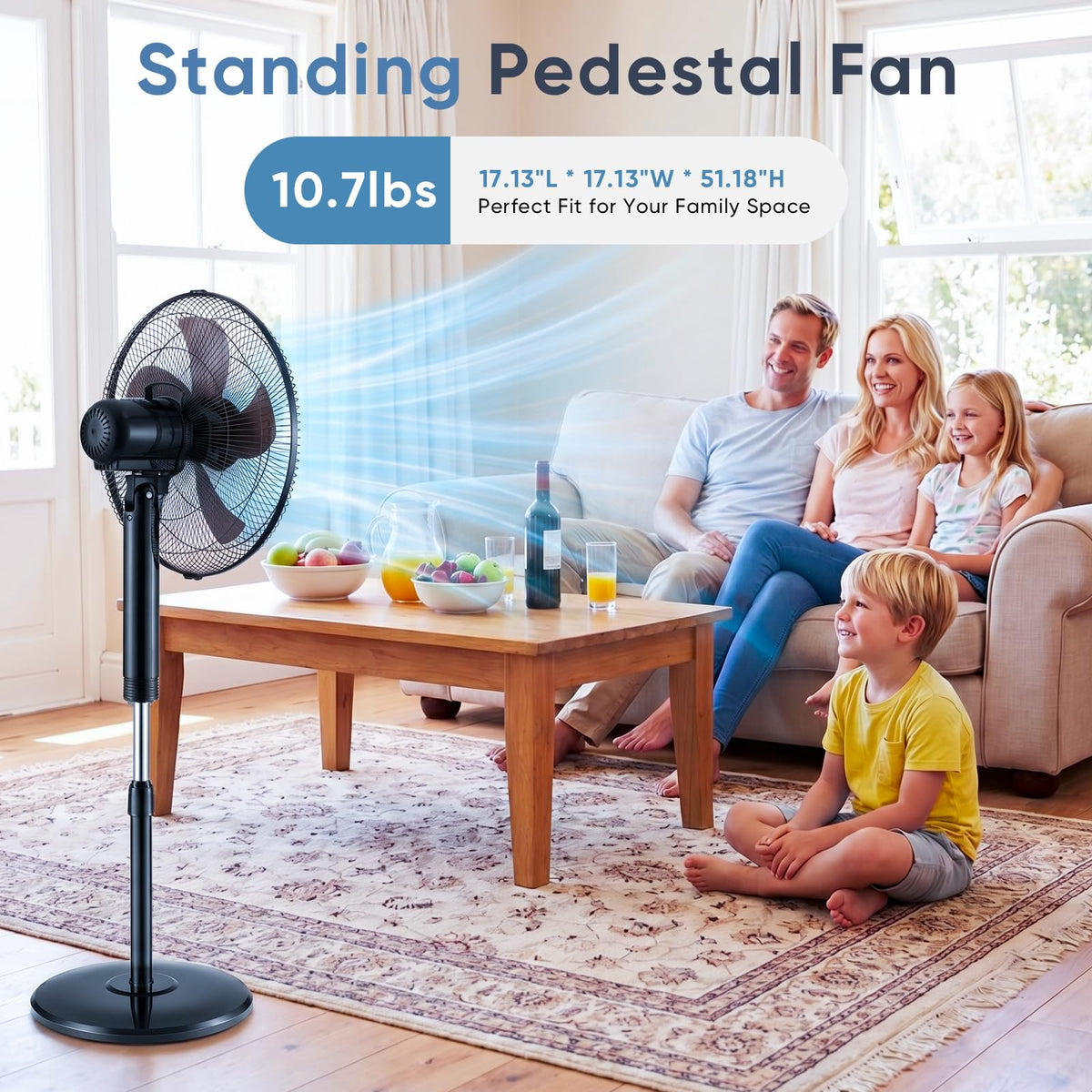 17" Oscillating Pedestal Fan with Remote D7838