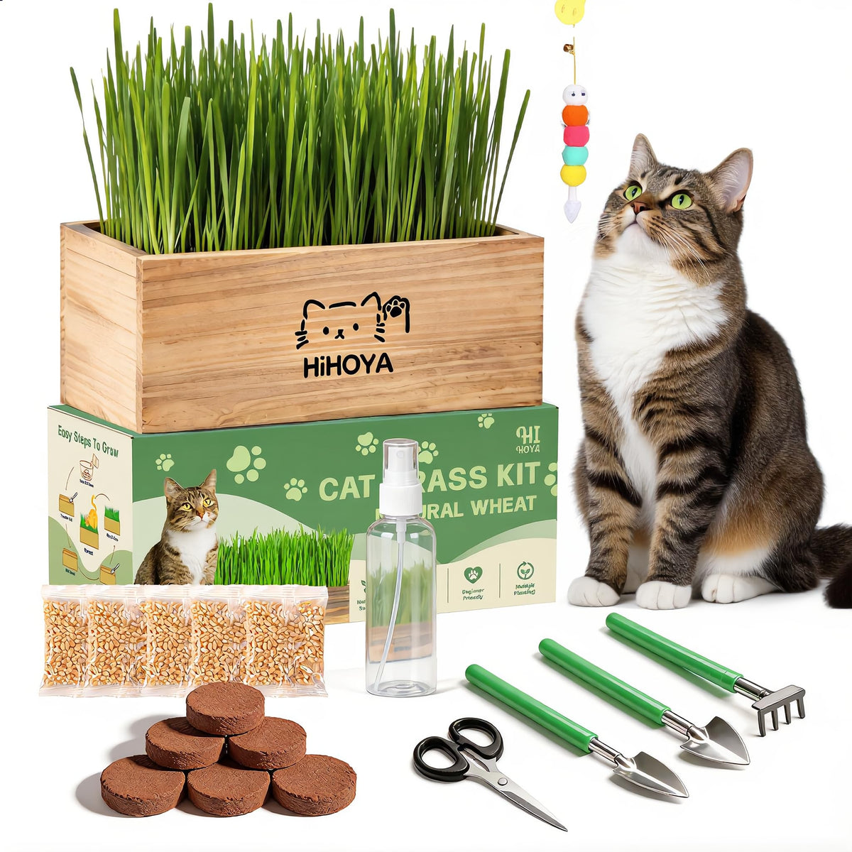 Cat Grass Kit with 5 Packets of Seeds, Wooden Planter, 6 Soil Discs, Trimming Scissors, Spray Bottle, and Mini Tools S51887