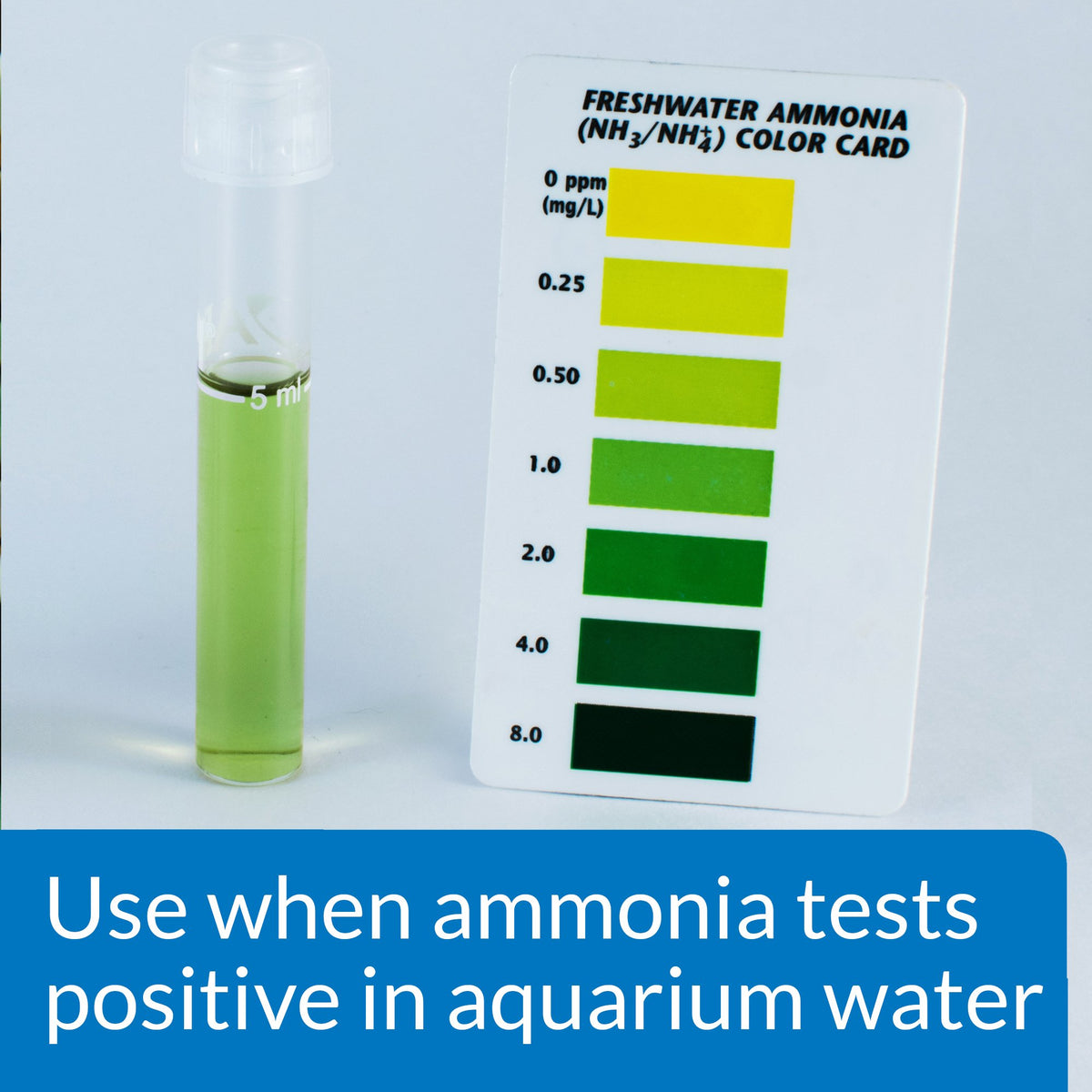Aquarium Ammonia Detoxifier 16-Ounce Bottle J31960