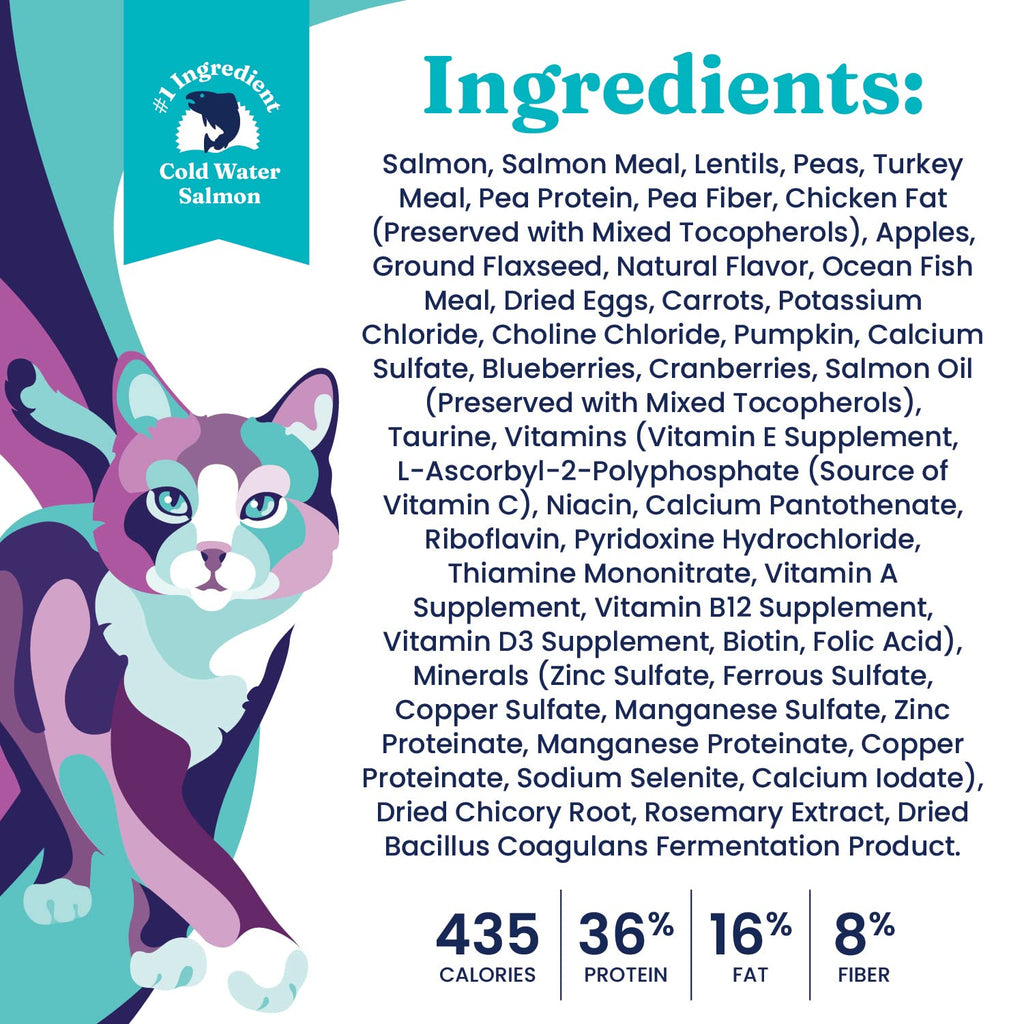 Salmon Dry Cat Food and Wet Cat Food Variety Pack V4495