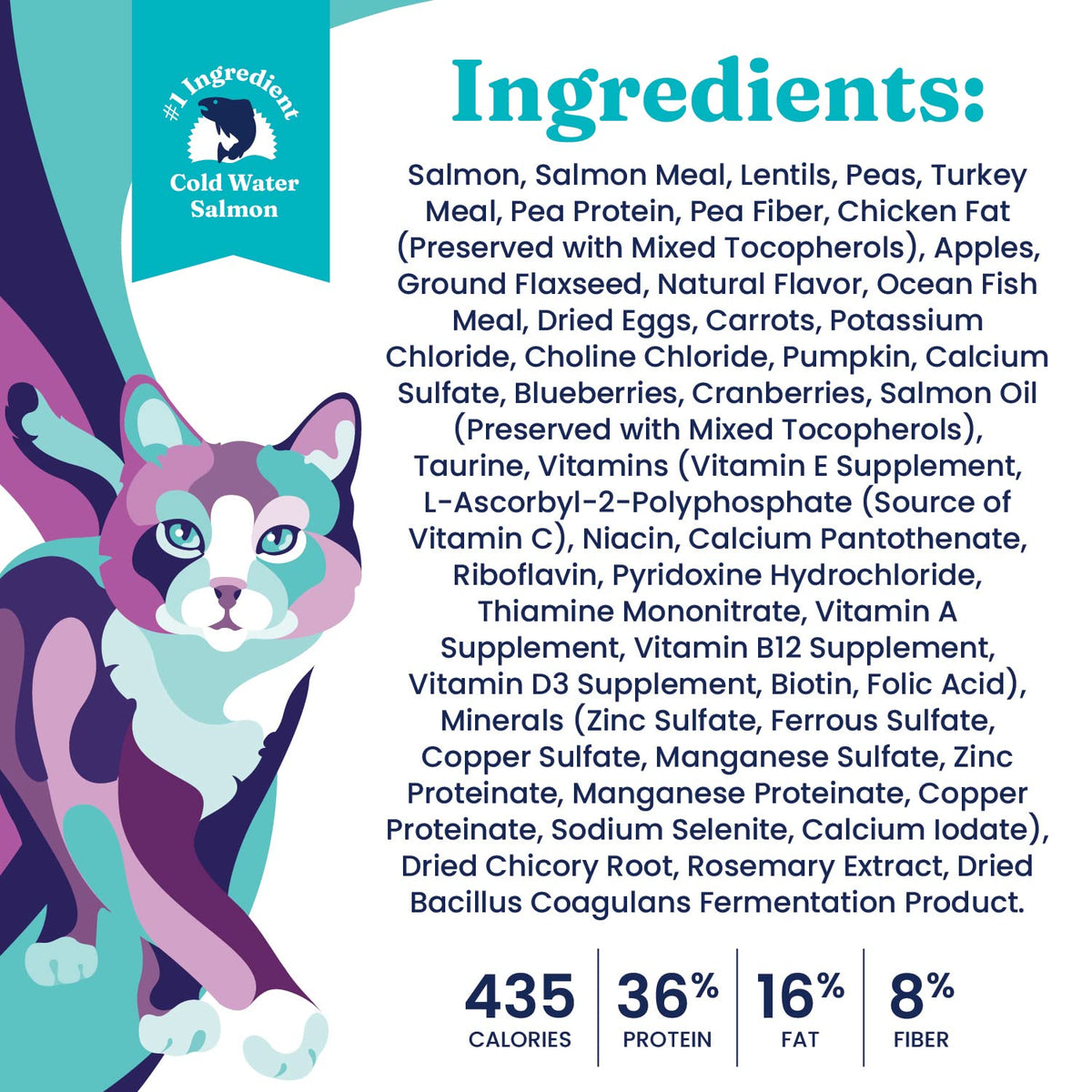 Salmon Dry Cat Food and Wet Cat Food Variety Pack V4495