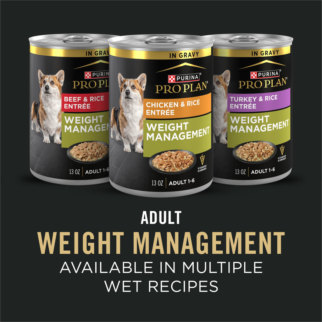 Weight Management Chicken & Rice Dry Dog Food 6 lb Bag D366424