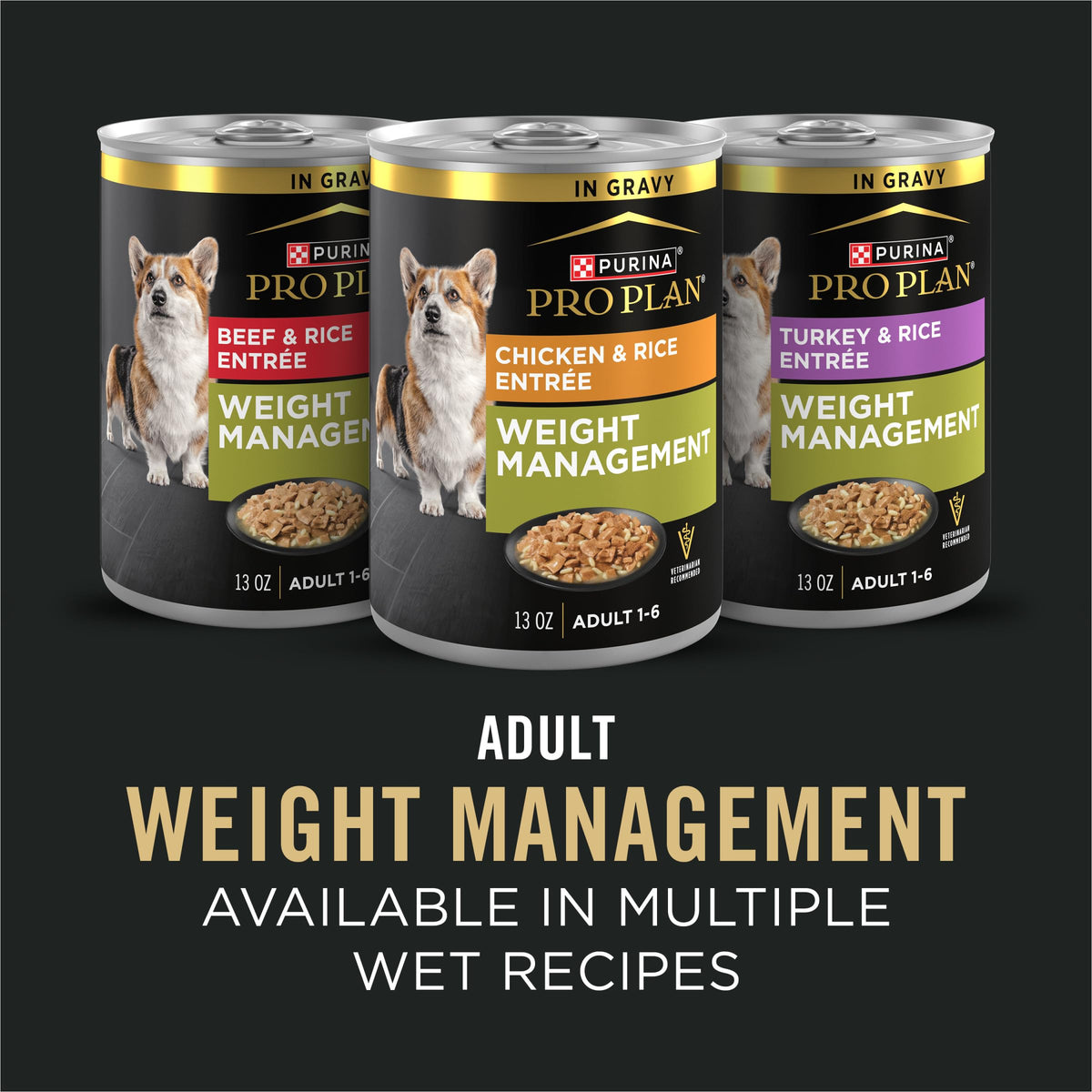 Weight Management Chicken & Rice Dry Dog Food 6 lb Bag D366424