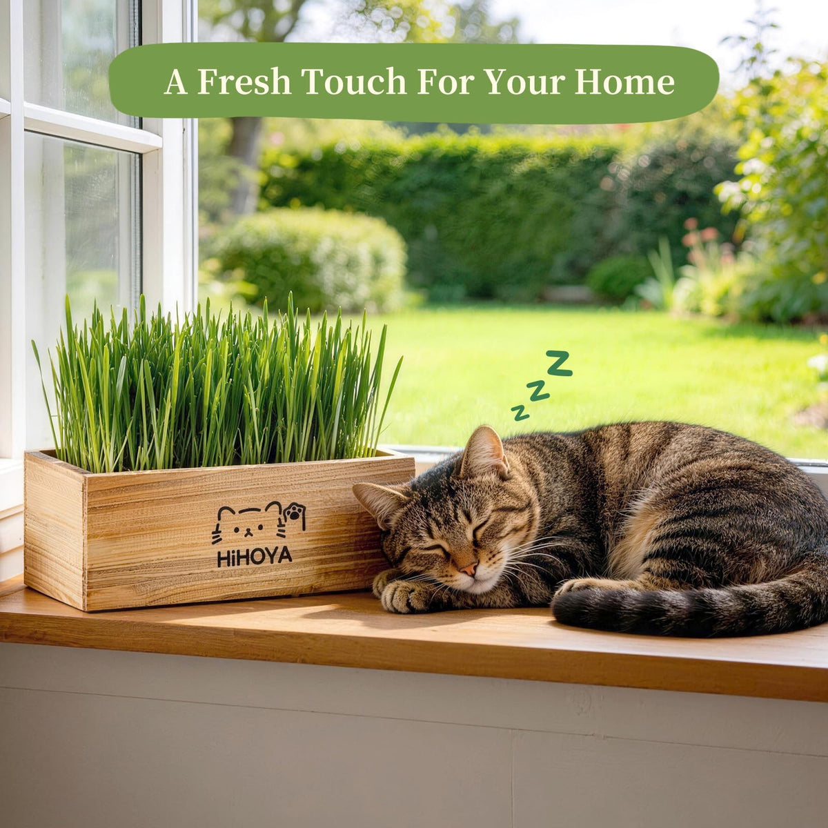Cat Grass Kit with 5 Packets of Seeds, Wooden Planter, 6 Soil Discs, Trimming Scissors, Spray Bottle, and Mini Tools S51887