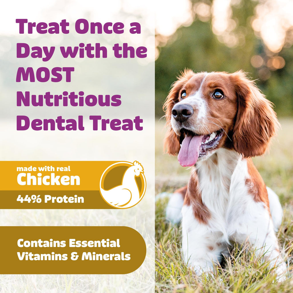 Chicken Dog Dental Treats Large 24oz & Medium 36 oz W5625