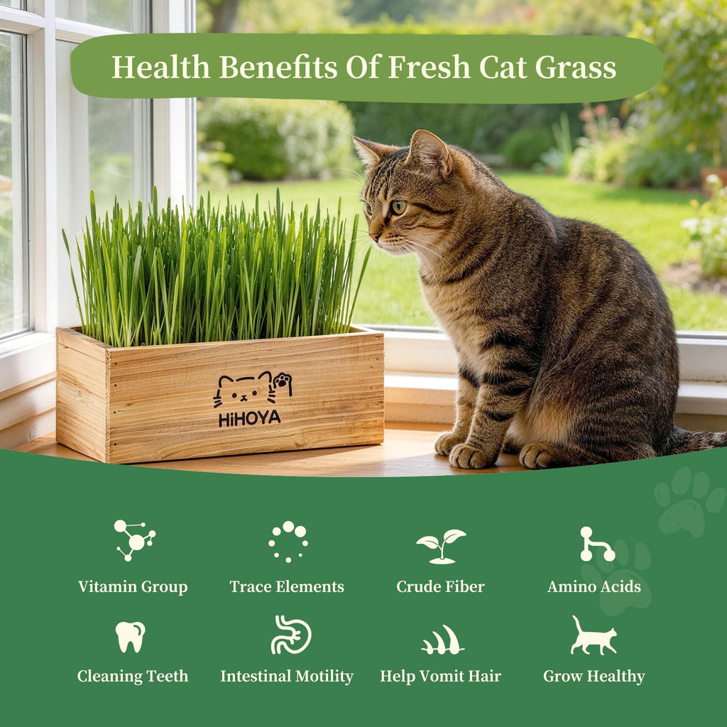 Cat Grass Kit with 5 Packets of Seeds, Wooden Planter, 6 Soil Discs, Trimming Scissors, Spray Bottle, and Mini Tools S51887