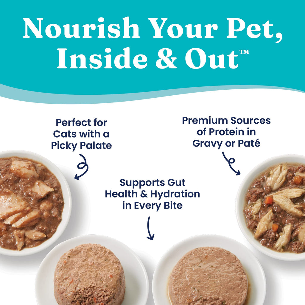 Salmon Dry Cat Food and Wet Cat Food Variety Pack V4495