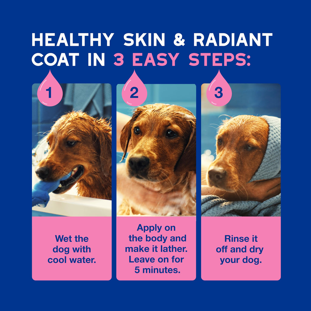 Dog Shampoo for Sensitive Skin, 16 fl oz R6525