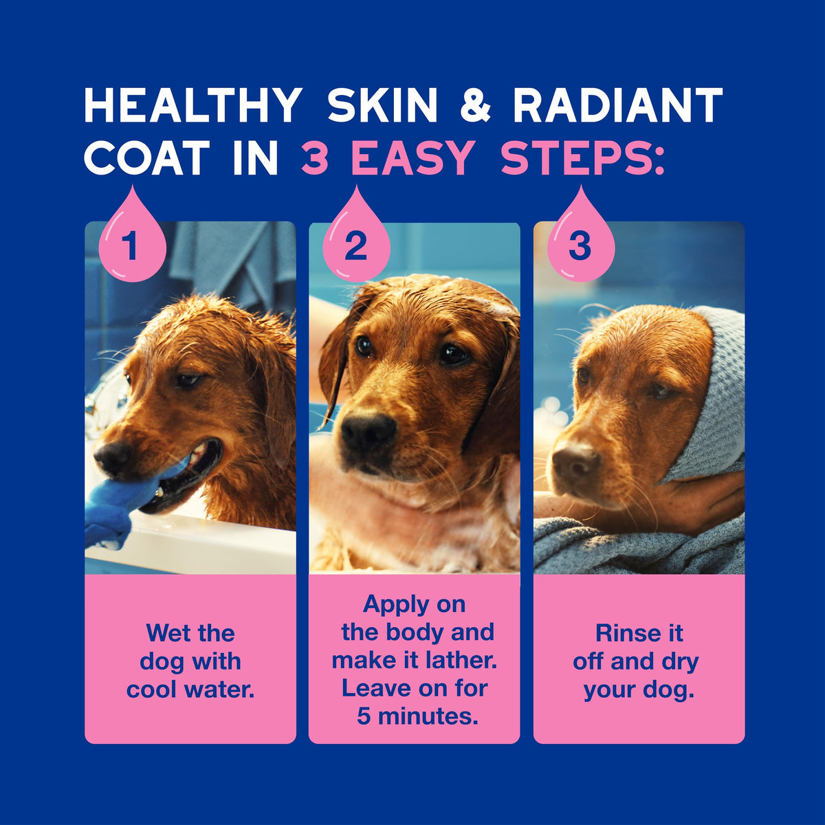 Dog Shampoo for Sensitive Skin, 16 fl oz R6525