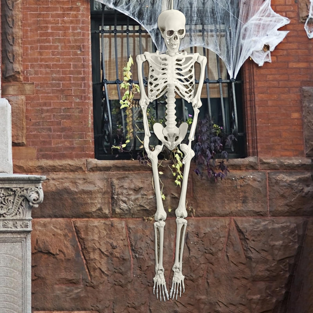 5.4FT Poseable Skeleton with Movable Joints S8761