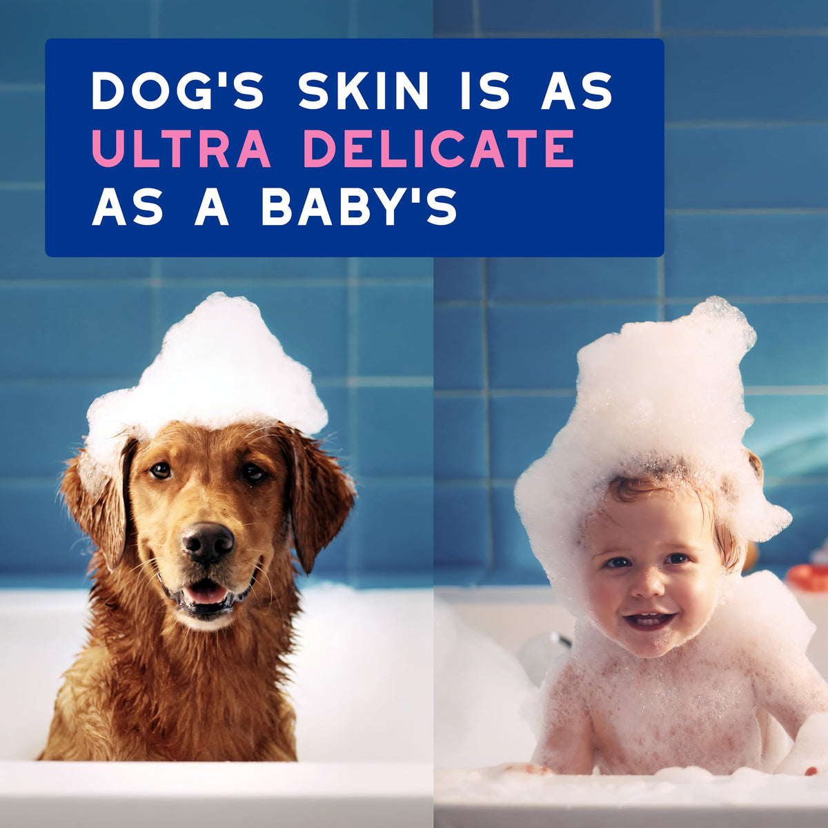 Dog Shampoo for Sensitive Skin, 16 fl oz R6525
