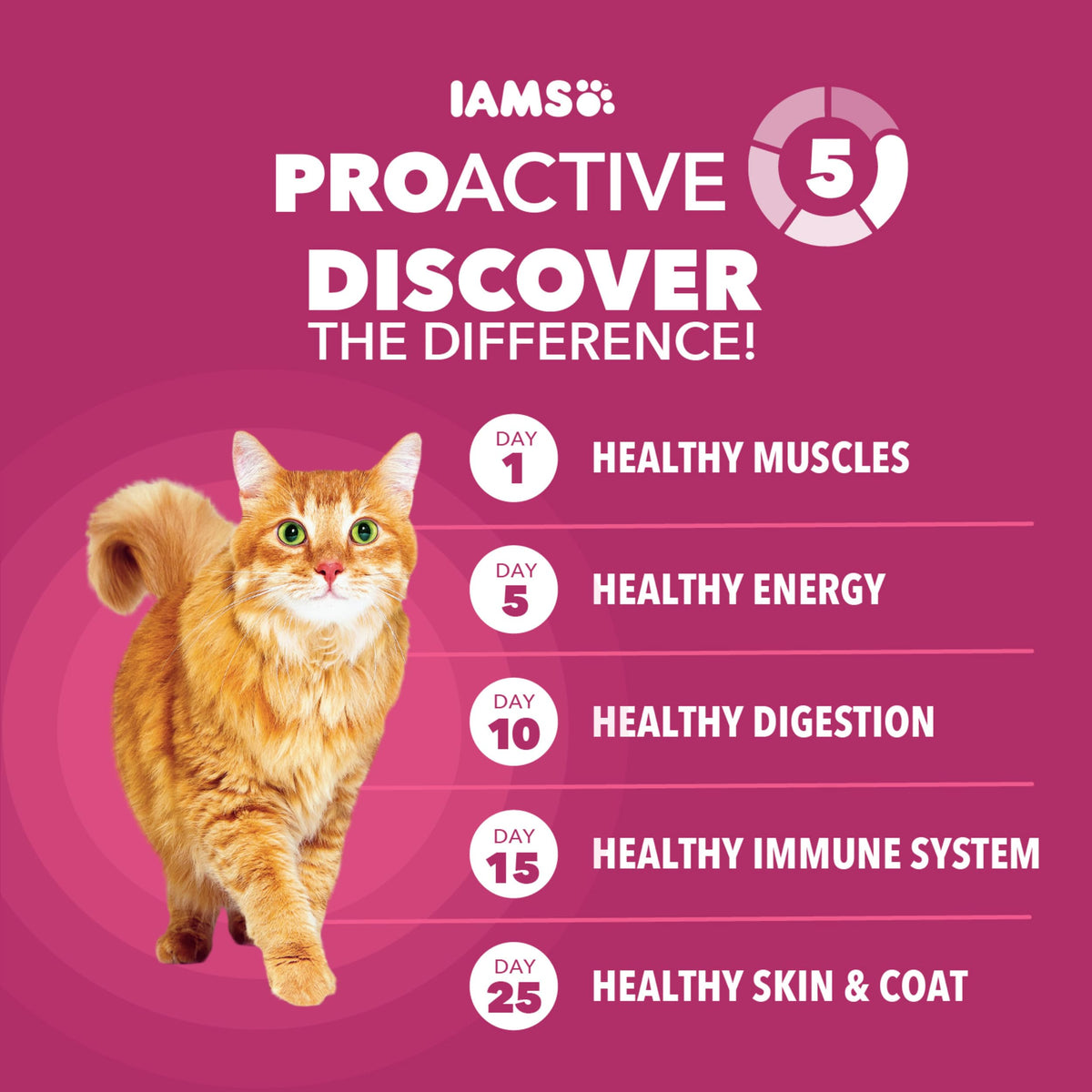 Chicken Dry Cat Food 7 lb T384998