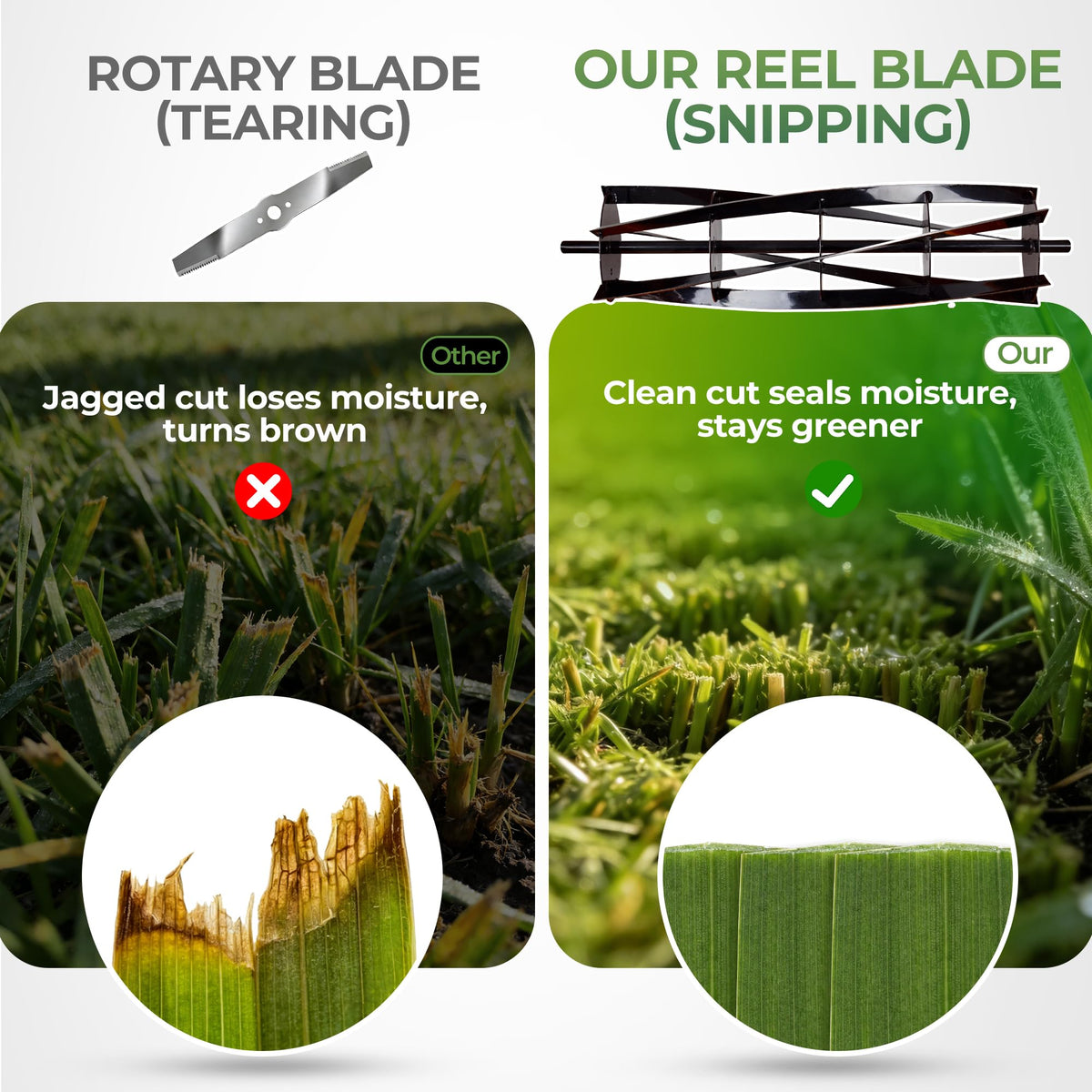 16-Inch Cordless Electric Reel Lawn Mower with 2 Batteries D956
