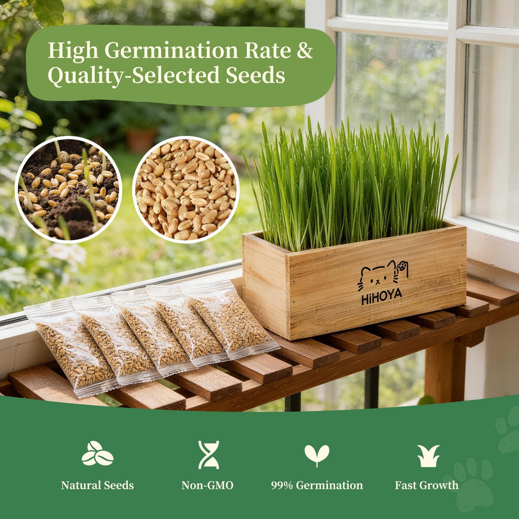 Cat Grass Kit with 5 Packets of Seeds, Wooden Planter, 6 Soil Discs, Trimming Scissors, Spray Bottle, and Mini Tools S51887
