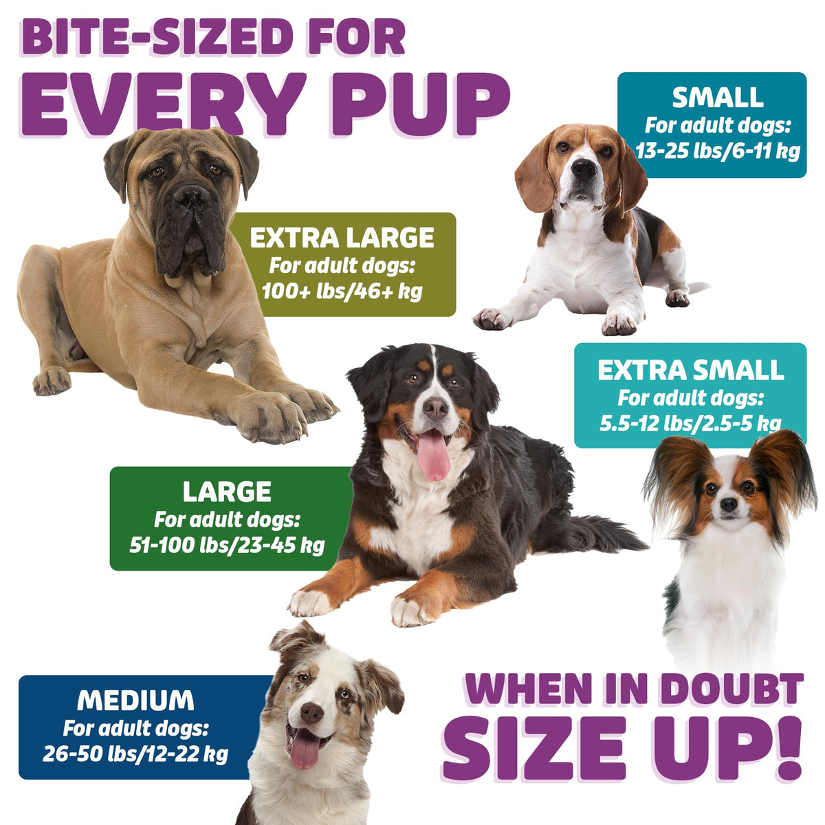 Chicken Dog Dental Treats Large 24oz & Medium 36 oz W5625