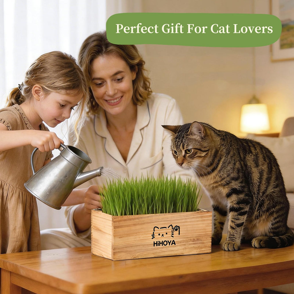Cat Grass Kit with 5 Packets of Seeds, Wooden Planter, 6 Soil Discs, Trimming Scissors, Spray Bottle, and Mini Tools S51887