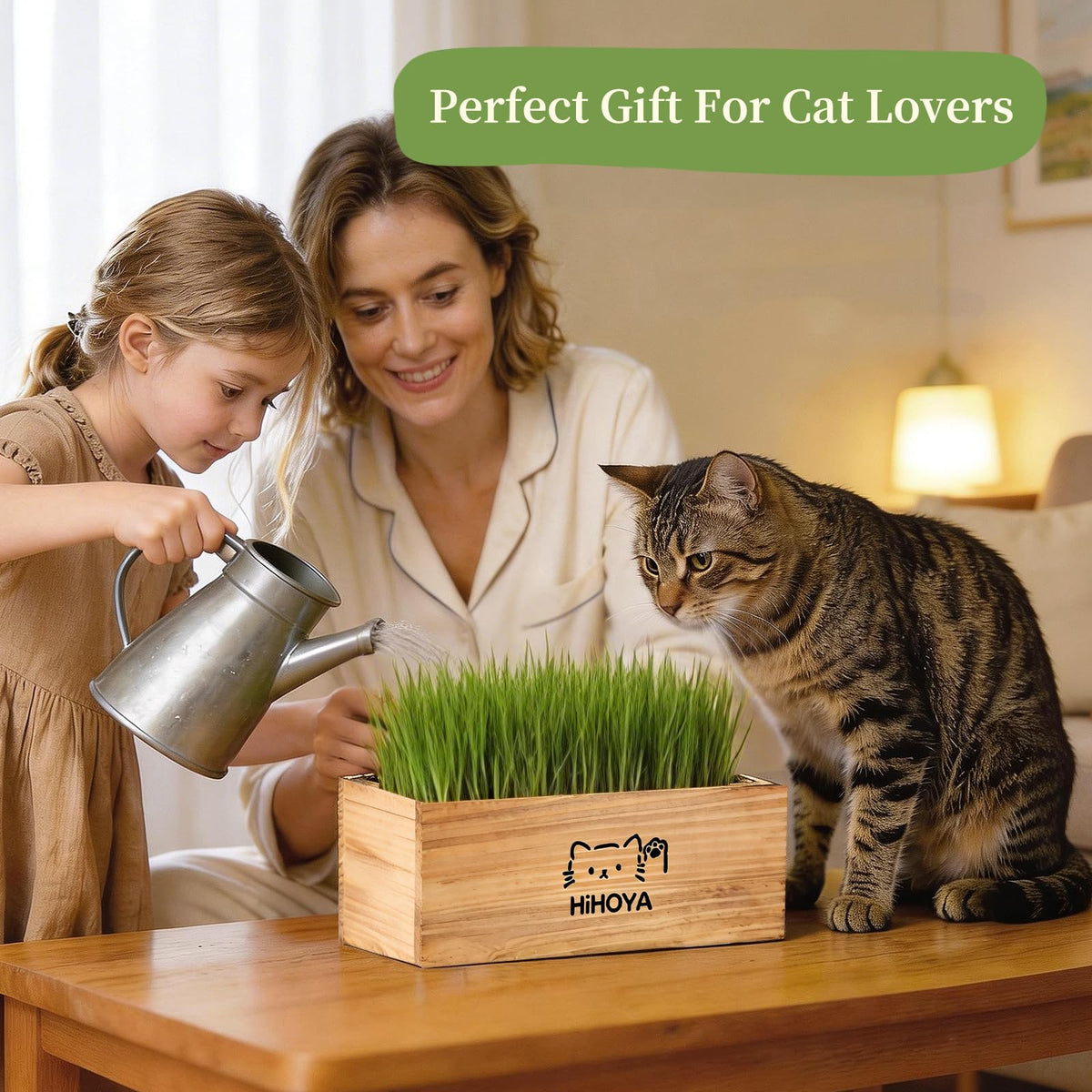 Cat Grass Kit with 5 Packets of Seeds, Wooden Planter, 6 Soil Discs, Trimming Scissors, Spray Bottle, and Mini Tools S51887