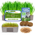 Cat Grass Growing Kit with Wheat Seeds, BPA-Free Planter & Soil, 3 Pack C275