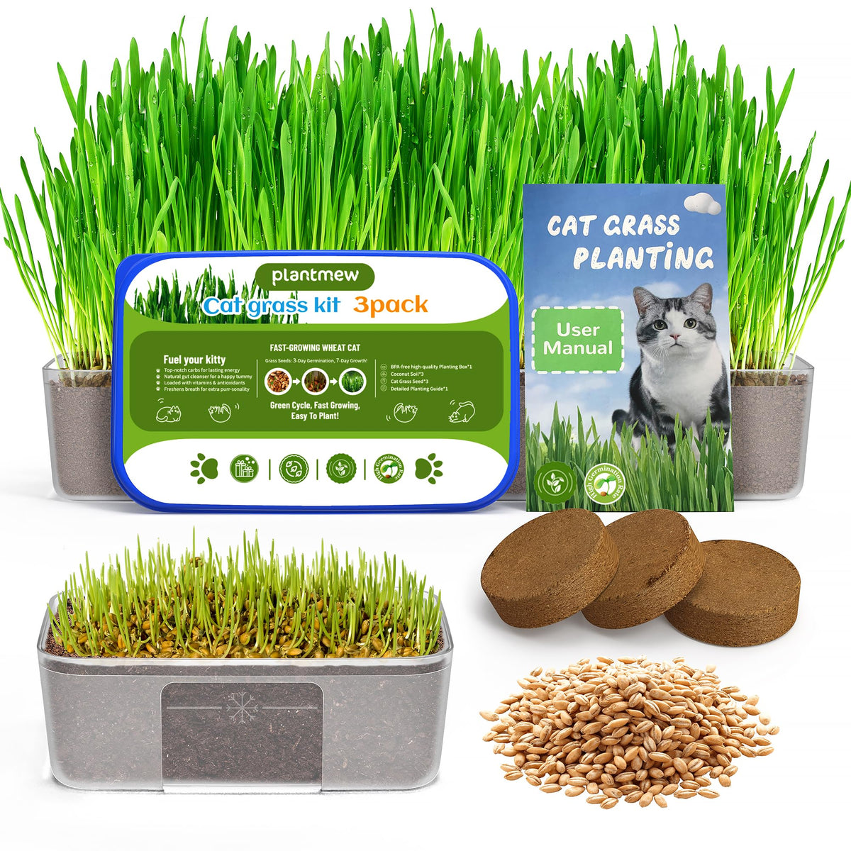 Cat Grass Growing Kit with Wheat Seeds, BPA-Free Planter & Soil, 3 Pack C275